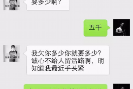 沂南融资清欠服务